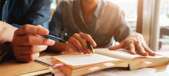 Lic. en Psicopedagogía (ciclo)